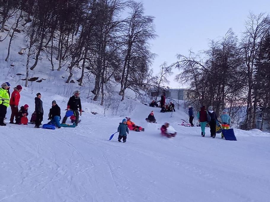 Haugen Hytteutleie & Camping Экстерьер фото